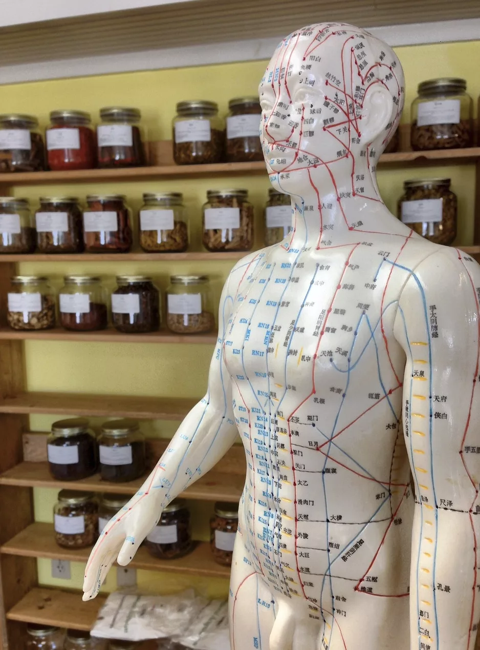 Soins de pharmacopée chinoise Montauban