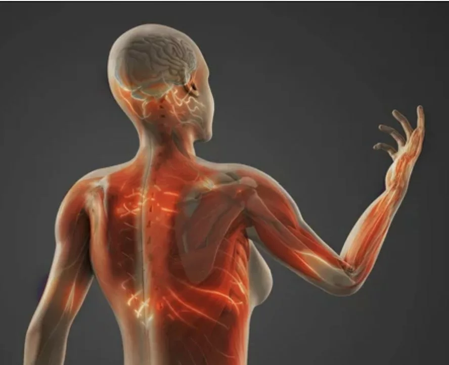 Séance d'acupuncture pour algodystrophie et douleur chronique